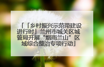 「乡村振兴示范带建设进行时」兰州市城关区城管局开展“烟雨兰山”区域综合整治专项行动