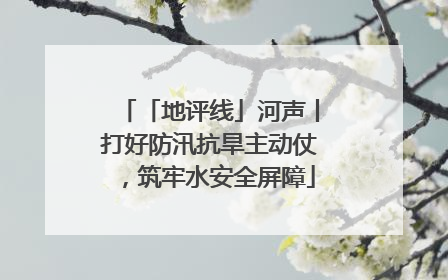 「地评线」河声丨打好防汛抗旱主动仗，筑牢水安全屏障