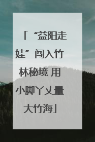 “益阳走娃”闯入竹林秘境 用小脚丫丈量大竹海
