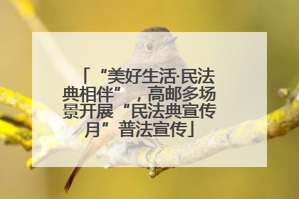 “美好生活·民法典相伴”，高邮多场景开展“民法典宣传月”普法宣传