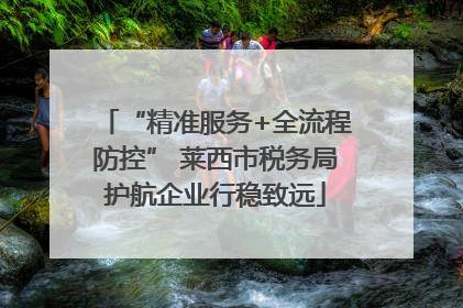 “精准服务+全流程防控” 莱西市税务局护航企业行稳致远