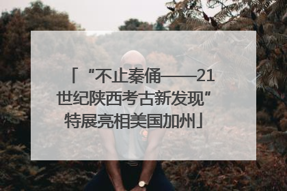 “不止秦俑——21世纪陕西考古新发现”特展亮相美国加州