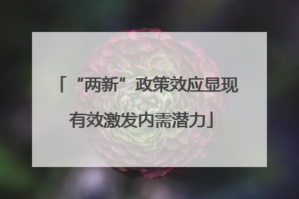 “两新”政策效应显现 有效激发内需潜力