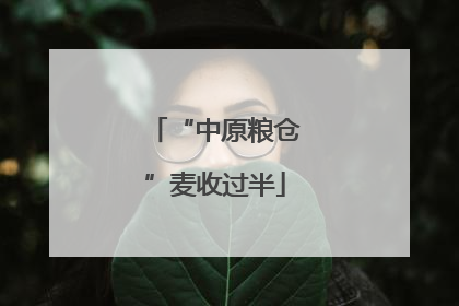 “中原粮仓”麦收过半