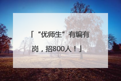 “优师生”有编有岗，招800人！