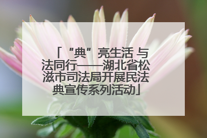 “典”亮生活 与法同行——湖北省松滋市司法局开展民法典宣传系列活动