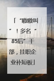 “嗷嗷叫”！多名“85后”干部，挂职企业补短板