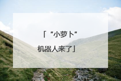 “小萝卜”机器人来了