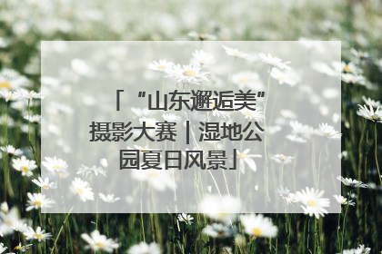 “山东邂逅美”摄影大赛｜湿地公园夏日风景