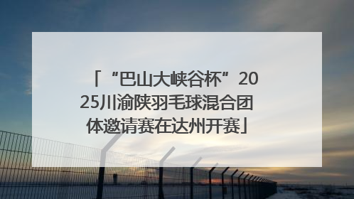 “巴山大峡谷杯”2025川渝陕羽毛球混合团体邀请赛在达州开赛