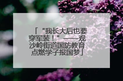 “我长大后也要穿军装！”——观沙岭街道国防教育点燃学子报国梦