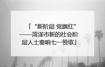 “新阶层 党旗红”——菏泽市新的社会阶层人士奏响七一赞歌
