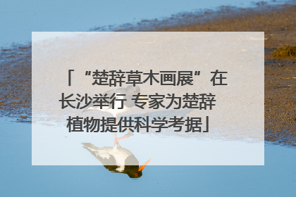 “楚辞草木画展”在长沙举行 专家为楚辞植物提供科学考据