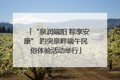 “泉润端阳 粽享安康” 趵突泉畔端午民俗体验活动举行