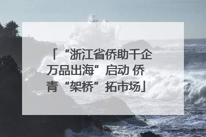 “浙江省侨助千企万品出海”启动 侨青“架桥”拓市场