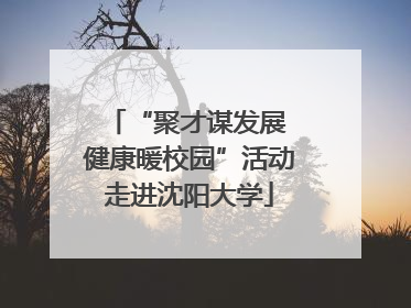 “聚才谋发展 健康暖校园”活动走进沈阳大学