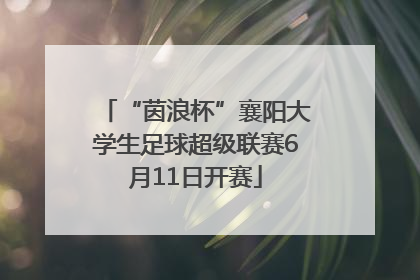 “茵浪杯”襄阳大学生足球超级联赛6月11日开赛