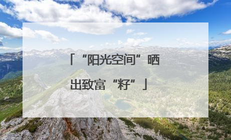 “阳光空间”晒出致富“籽”