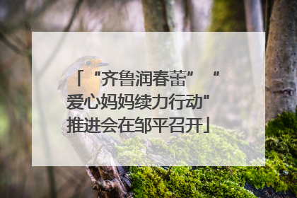 “齐鲁润春蕾”“爱心妈妈续力行动”推进会在邹平召开