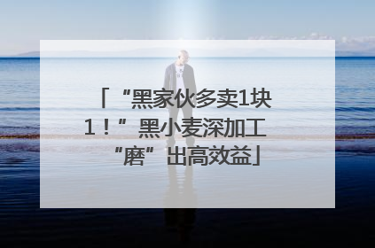 “黑家伙多卖1块1！”黑小麦深加工“磨”出高效益