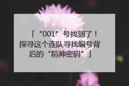 “001”号找到了！探寻这个连队寻找编号背后的“精神密码”