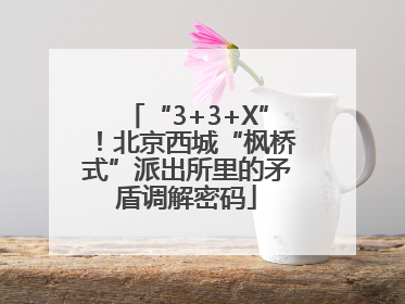 “3+3+X”！北京西城“枫桥式”派出所里的矛盾调解密码