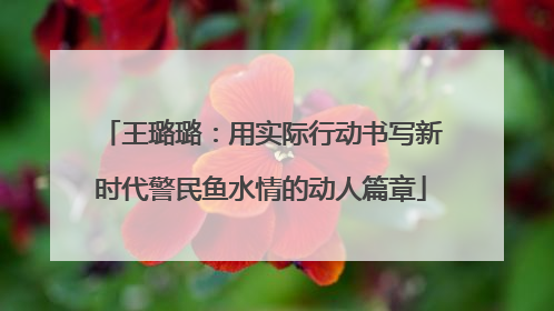 王璐璐：用实际行动书写新时代警民鱼水情的动人篇章
