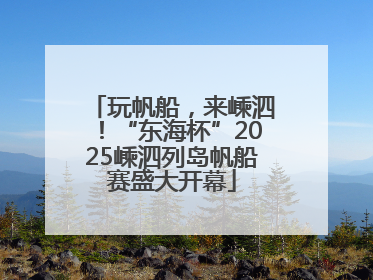 玩帆船，来嵊泗！“东海杯”2025嵊泗列岛帆船赛盛大开幕
