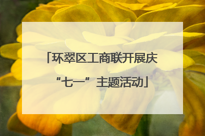 环翠区工商联开展庆“七一”主题活动