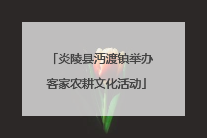 炎陵县沔渡镇举办客家农耕文化活动