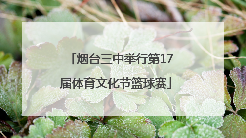 烟台三中举行第17届体育文化节篮球赛
