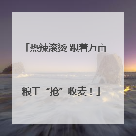 热辣滚烫 跟着万亩粮王“抢”收麦！