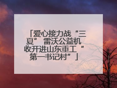 爱心接力战“三夏” 雷沃公益机收开进山东重工“第一书记村”