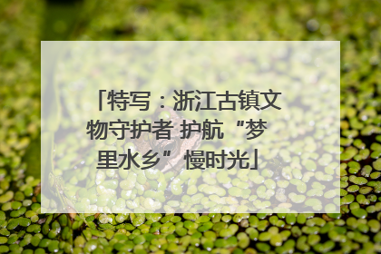 特写：浙江古镇文物守护者 护航“梦里水乡”慢时光