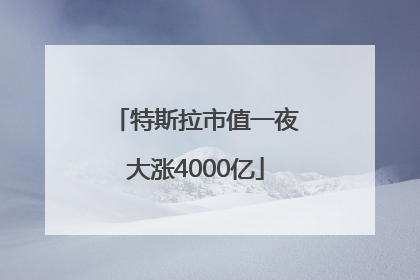特斯拉市值一夜大涨4000亿
