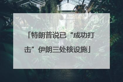 特朗普说已“成功打击”伊朗三处核设施
