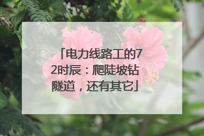 电力线路工的72时辰：爬陡坡钻隧道，还有其它
