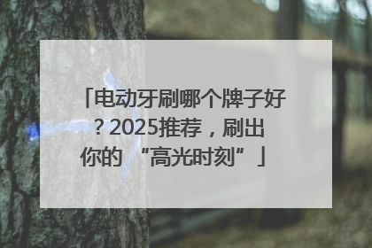 电动牙刷哪个牌子好？2025推荐，刷出你的 “高光时刻”