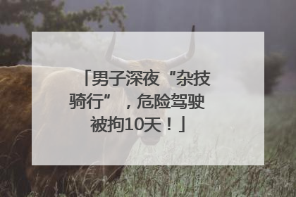 男子深夜“杂技骑行”，危险驾驶被拘10天！
