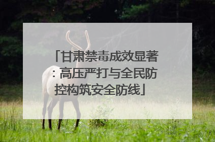 甘肃禁毒成效显著：高压严打与全民防控构筑安全防线