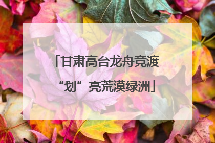 甘肃高台龙舟竞渡“划”亮荒漠绿洲