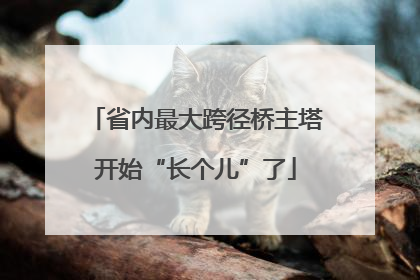 省内最大跨径桥主塔开始“长个儿”了