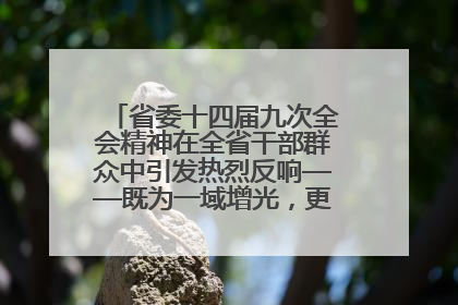 省委十四届九次全会精神在全省干部群众中引发热烈反响——既为一域增光，更为全局添彩