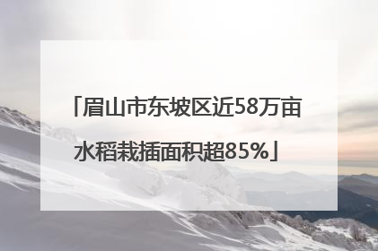 眉山市东坡区近58万亩水稻栽插面积超85%