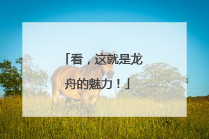 看，这就是龙舟的魅力！