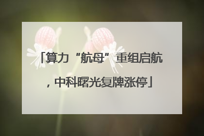 算力“航母”重组启航，中科曙光复牌涨停