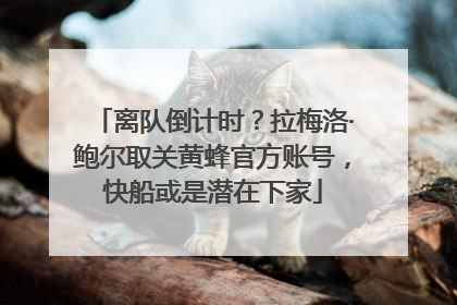 离队倒计时？拉梅洛·鲍尔取关黄蜂官方账号，快船或是潜在下家