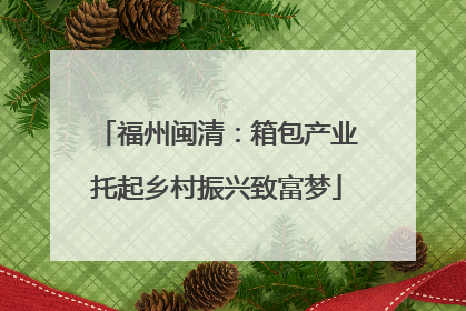 福州闽清：箱包产业托起乡村振兴致富梦