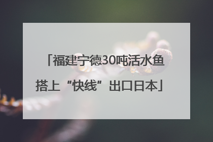 福建宁德30吨活水鱼搭上“快线”出口日本