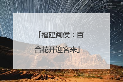 福建闽侯：百合花开迎客来